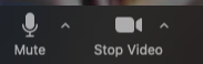 VideoAudio On.png VideoAudio On.png