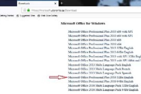 choose MS Office Professional Plus 2016 32bit English