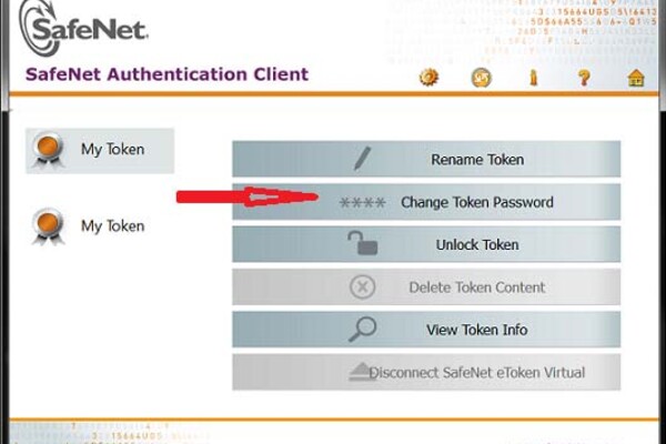 etoken change password