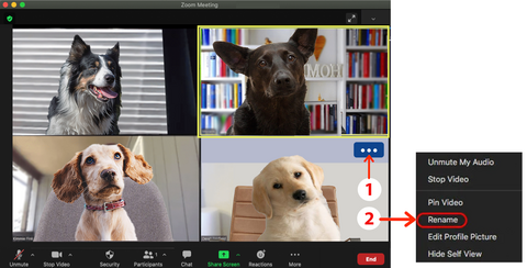 Rename yourself in Zoom