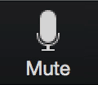 zoom_unmute zoom_unmute
